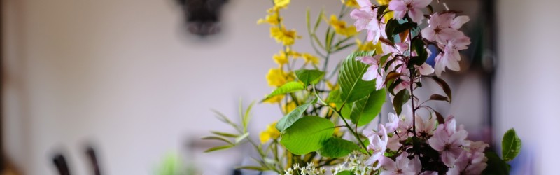 Blomster