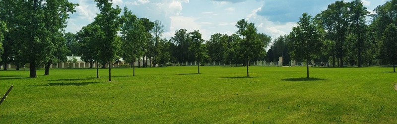 Grøn plæne med små træer - åben areal