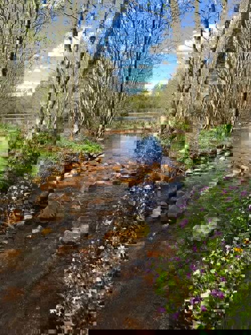 Naturen ved Bording Å og Okkersø Skov