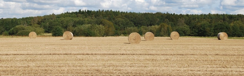 Lille mark med halmballer på