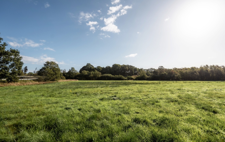 grundsalg_standardbillede