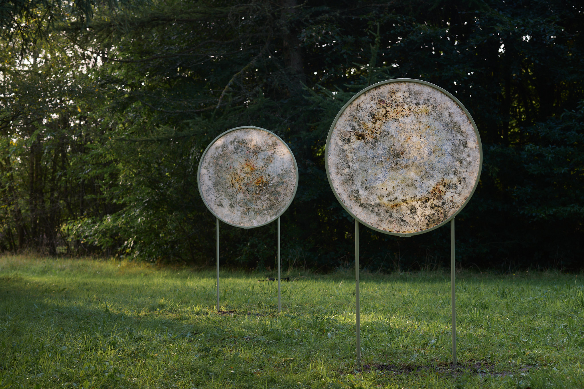 Microbial Dwellings - et midlertidigt værk på Harrild Hede af Rhoda Ting & Mikkel Bojesen