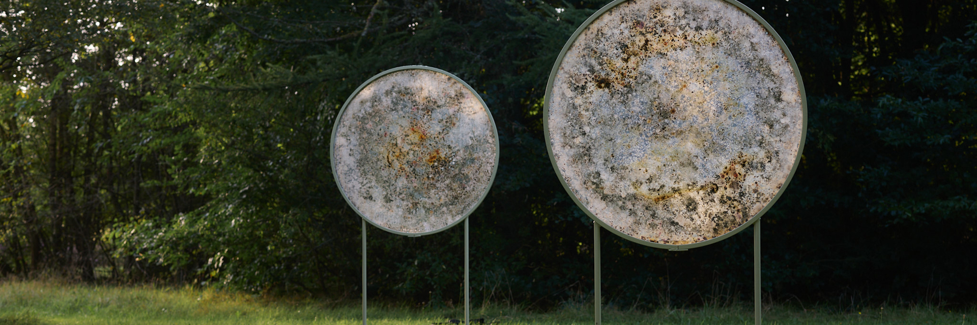 Microbial Dwellings - et midlertidigt værk på Harrild Hede af Rhoda Ting & Mikkel Bojesen Microbial Dwellings - et midlertidigt værk på Harrild Hede af Rhoda Ting & Mikkel Bojesen
