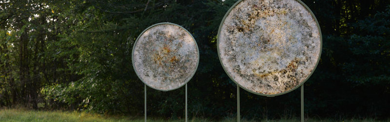 Microbial Dwellings - et midlertidigt værk på Harrild Hede af Rhoda Ting & Mikkel Bojesen
