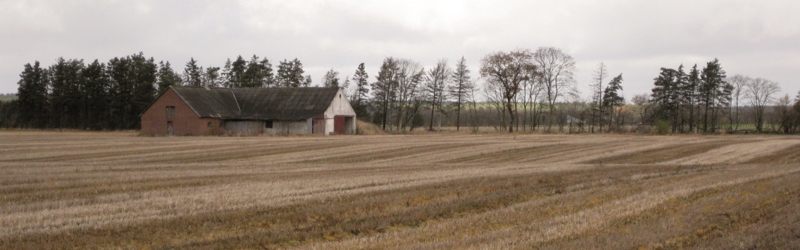 Gold og høstet mark