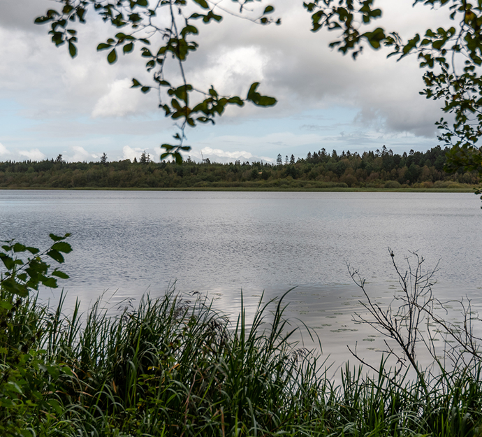 Ejstrup Sø