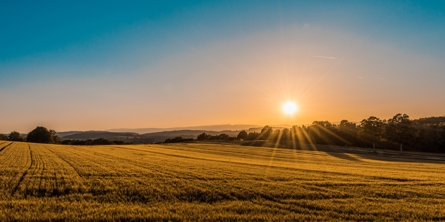 Solnedgang over markerne
