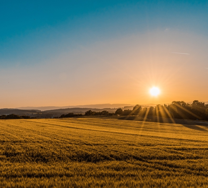 Solnedgang over markerne