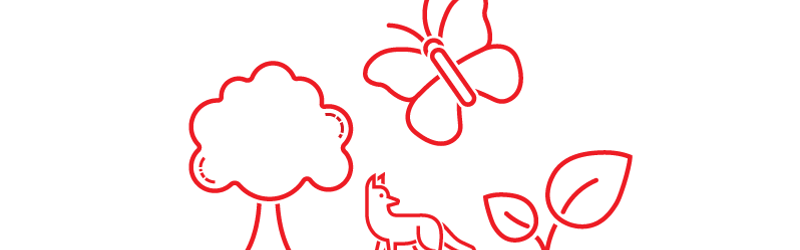 Ikon Natur - illustration