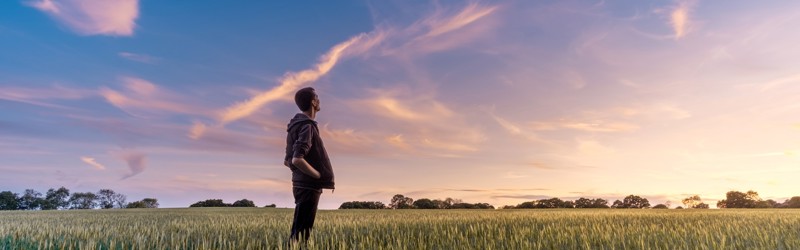 Person står i kornmark og kigger på solopgang - Person standing on cornfield and looking at the sunrise