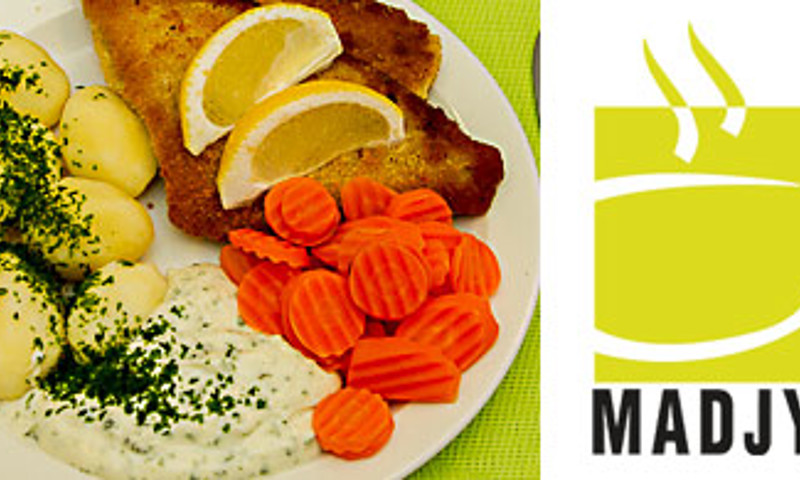 Madjyden topgrafik banner Madjyden topgrafik banner