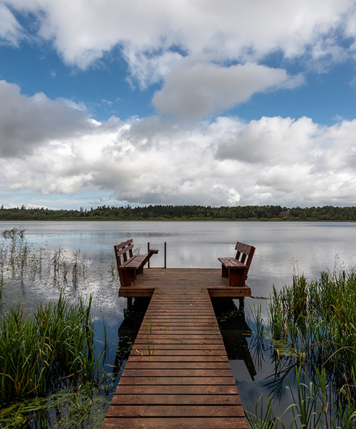 Bådebro ved Ejstrup Sø