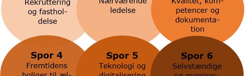 Billedet viser de 6 spor i udviklingsplanen