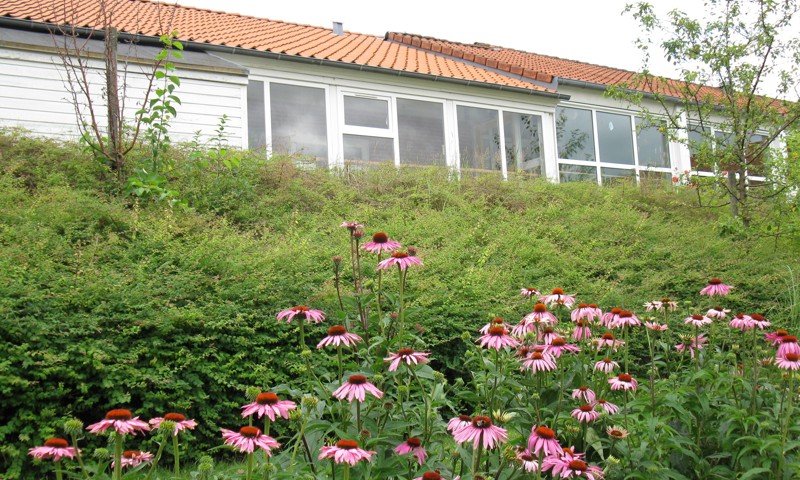 Bygning set fra haven Bygning set fra haven