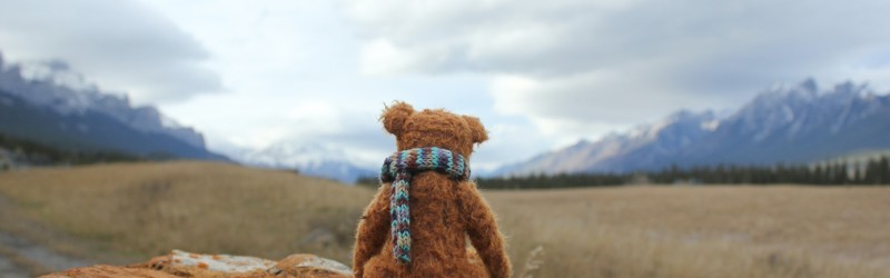 Ensom bamse kigger ud over landskab