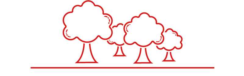 Ikon for skovrejsning - ikonet viser en masser træer - rød stregtegning